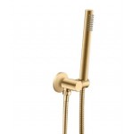 Lucid Brushed Gold Round Hand held Shower Set